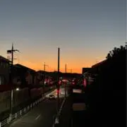 かなとんの画像