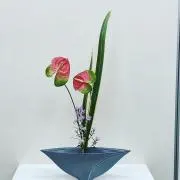 hamu ☆の画像