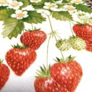 このの画像