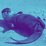 まさとしの画像