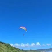 森っちの画像