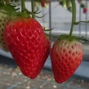 みんの画像