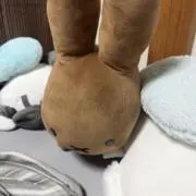 コラソンの画像