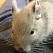ブルーの画像
