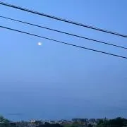ちの画像
