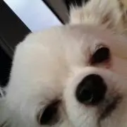 Rinrin( ´∀｀)いいね不要
