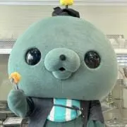 ぽむの画像