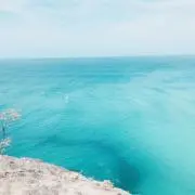 りーんの画像
