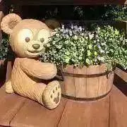すももの画像