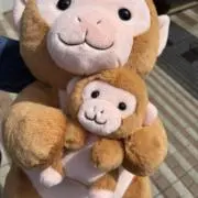 よしをの画像
