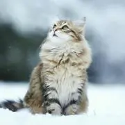 のの/断捨離中の画像