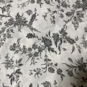 かぱの画像