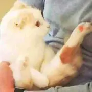 ｈｉ＊＊の画像