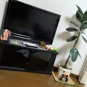 セナ
