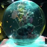 夢を刻めの画像
