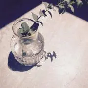 skoの画像