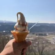 やけピヨ