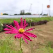 ここ