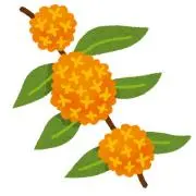★の画像