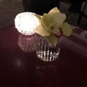 トラトラの画像