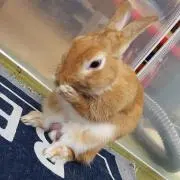 ゆきち