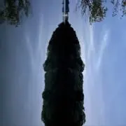 テロクノジーの画像