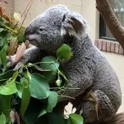 うさた