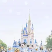 mochiの画像
