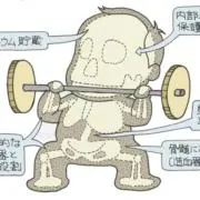 骨骨子の画像