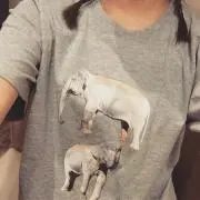 も