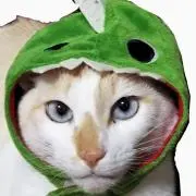シロの画像