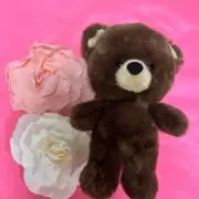 もも花　質問、お取引にはプロフ必読下さいの画像