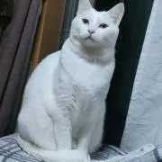 初心者です。の画像