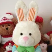 かずぽんの画像