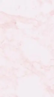 めこの画像
