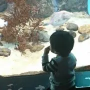 おーちゃんママ
