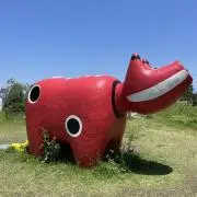 ぴぴの画像