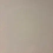 coco.の画像