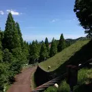 msmの画像