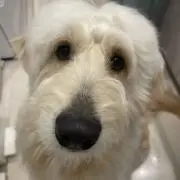 Jinの画像