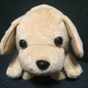 muu3※プロフィール必読願います