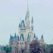 ミッキー