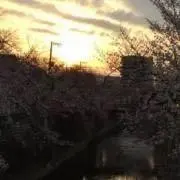izen stanlyの画像