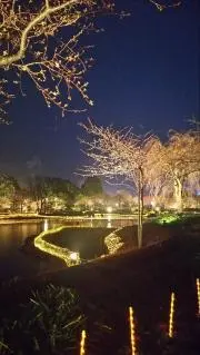 優爽　金曜夜10時まで値下げまとめ割引可の画像