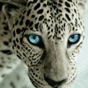 むっちゃん@プロフ必読