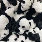 yの画像