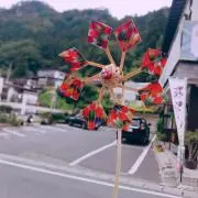 ひゆの画像