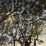 TMKOの画像