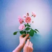 渚.*・゜の画像