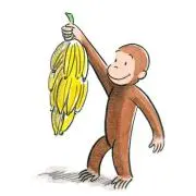 はやちゃんの画像